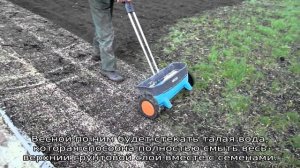 Посадка газона своими руками