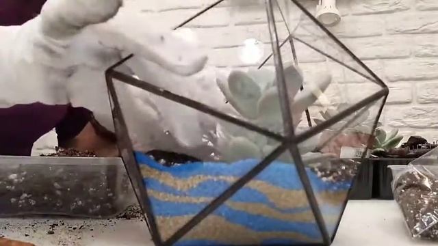 Создание флорариума Икосаэдр своими руками смотреть онлайн