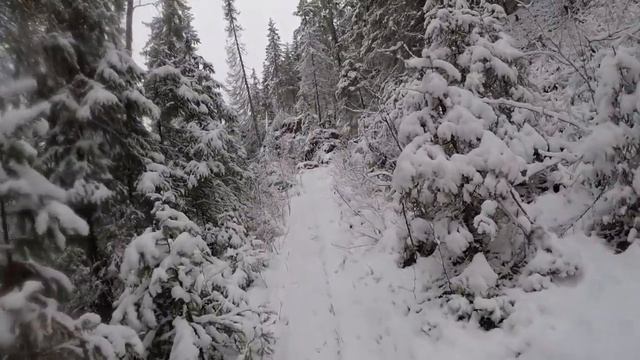 ПВД: Каменный город, Усьвинские столбы. смотреть онлайн