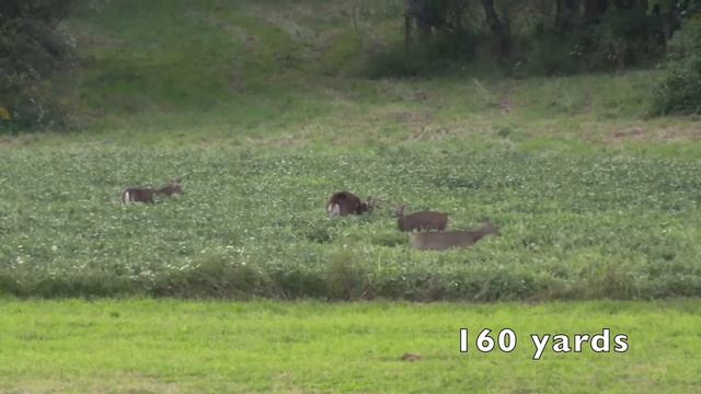 Best hunting camera?? смотреть онлайн