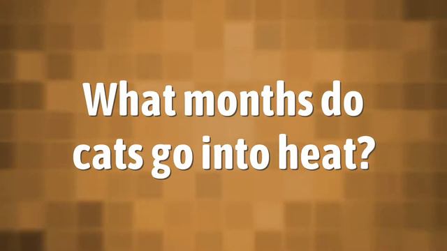 How often do cats go into heat in a year? смотреть онлайн