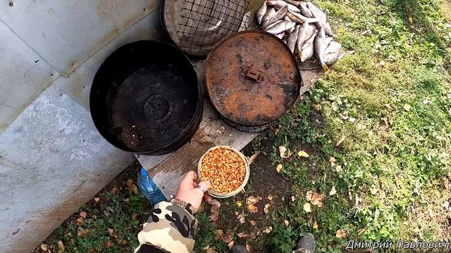 Сделай Сам по-Мастерски