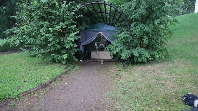 Дайте свободу орлу смотреть онлайн