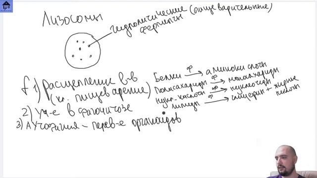СТРОЕНИЕ КЛЕТКИ для ЕГЭ |ЕГЭ БИОЛОГИЯ|Freedom| смотреть онлайн