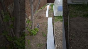 подшиваем низ забора шифером #забор#шифер