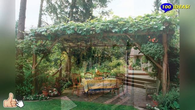 Ideas For Garden Improvement: 