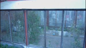 Теплица из поликарбоната и оконных рам