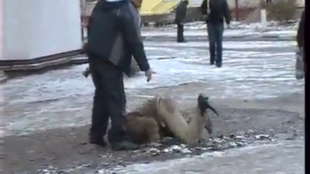 Спробуй "Хлiбний Дар" смотреть онлайн