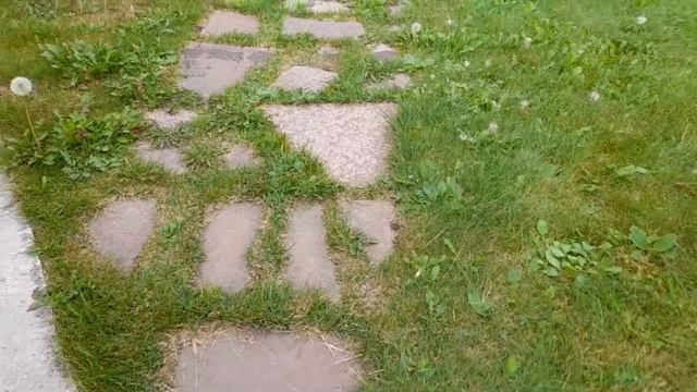 Удачный сезон 2023год. 65 городская выставка цветов и плодов. Номинация Садовый рай. Семья Елизаров смотреть онлайн