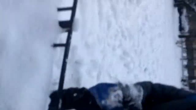 Голубь и какашка смотреть онлайн