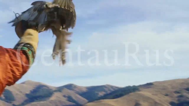 Қазақ хандығы 2 Маусым 1 Бөлім