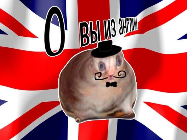 video (video-converter.com)