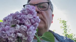 Фееричный сорт сирени!