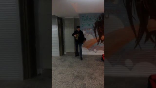 Bon Jovi Its my Life Akkordeon Akkordion Cover Бон Жови на баяне аккордеоне смотреть онлайн