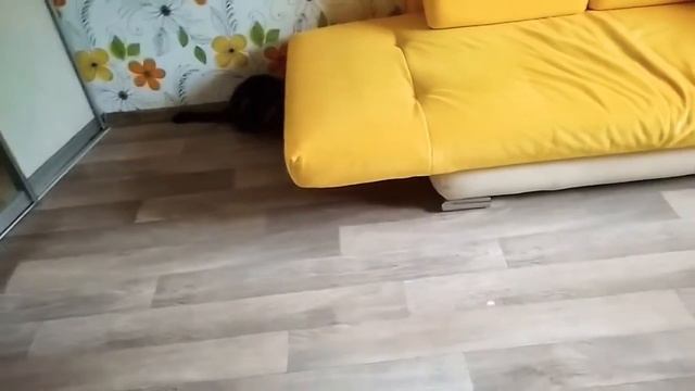 То самое чувство, когда ты устал играть смотреть онлайн