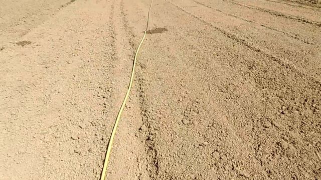Открытие полива картофеля смотреть онлайн