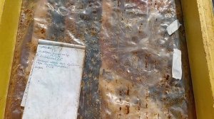 Как приготовить белковую подкормку (пасту) пчелам. Разлаживанием подкормку пчел.