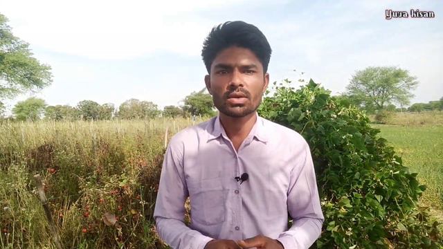 March me kaunsi sabji lagaye | March me lagai jane wali sabjiya | bikega ₹100kg 🤫 смотреть онлайн
