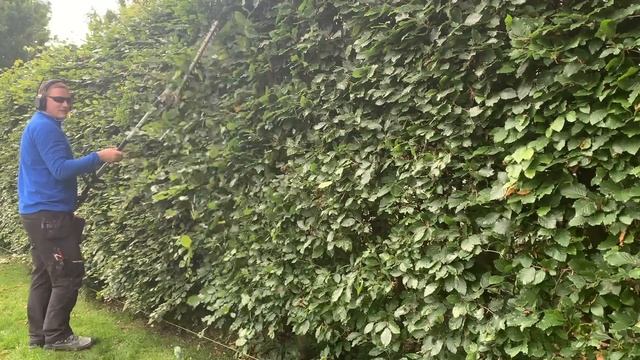 Tips From A Professional:HEDGE TRIMMING