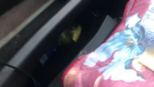 Мини обзорчик кабины Iveco Daily евро 6! Что новенького? смотреть онлайн