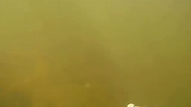 подводная охота.Челяб.обл..wmv смотреть онлайн