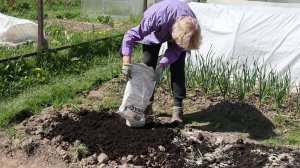 Эта дешевая мука заменит 90% дорогих удобрений! 8 Применений доломитовой муки в саду и огороде.