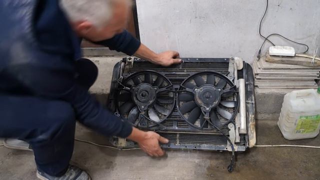 Екатерина Кошкина