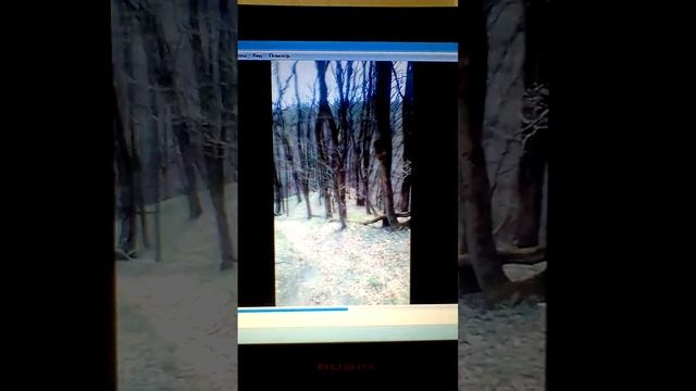 Описание к видео "пространство мыслей ... часть 2". смотреть онлайн