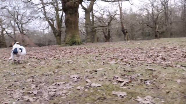A DAY IN THE LIFE | Pro Athletes | Team Charles-Barclay смотреть онлайн