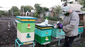 Сублиматор щавелевой кислоты для пчёл