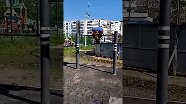 Научился новый трюк название сова ?? смотреть онлайн