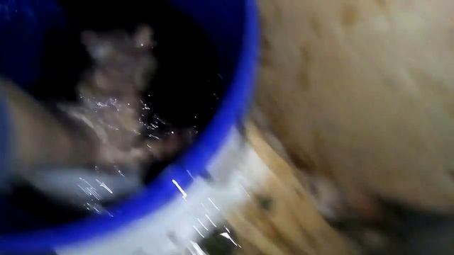 ВЫДЕЛКА ШКУРЫ БОБРА В ДОМАШНИХ УСЛОВИЯХ смотреть онлайн