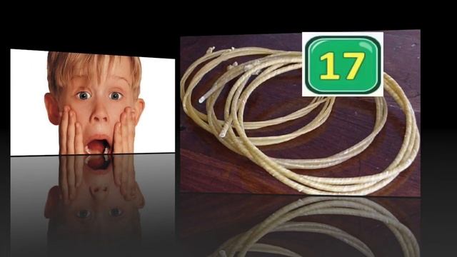 30 Интереснейших Фактов о СКРИПКЕ! Никто не знал!!! смотреть онлайн