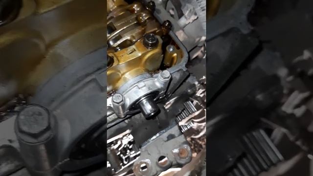 Замена ГРМ Honda Odyssey RA6 F23A смотреть онлайн