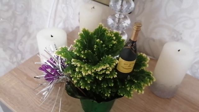 Селагинелла или Иерихонская роза – символ счастья, любви, благополучия! смотреть онлайн