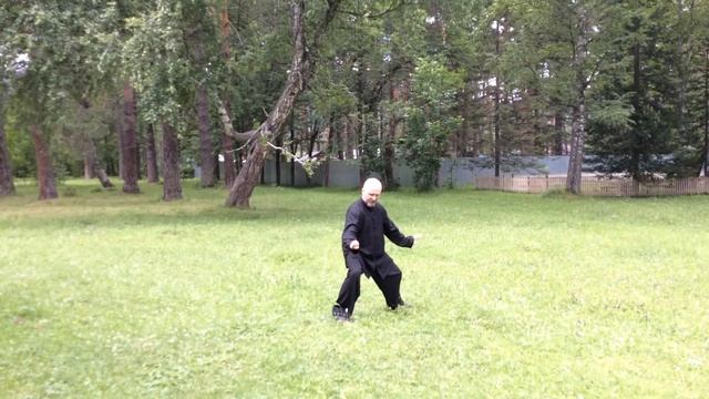 Прикрыться кистью. Чэньши Тайцзицюань. Позиция 13.1/83.