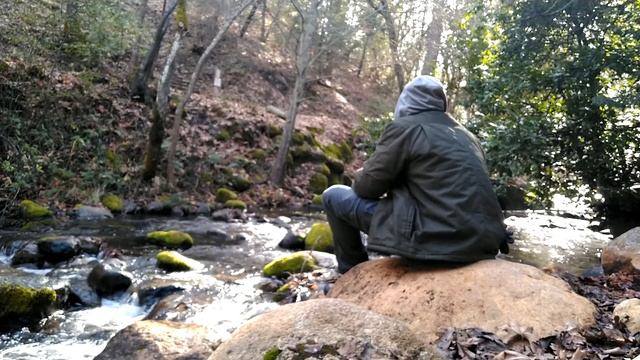 Let's Partake in the Vis-U-Alz - Lithia Park in Ashland Oregon! ? смотреть онлайн