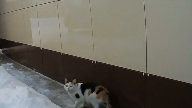 Прогулка по городу Шумерля 11 января 2016