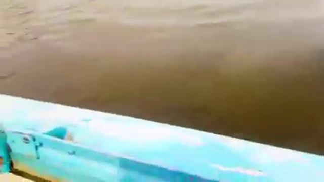 Астраханская область,Село Зеленга, ловля судака!!! смотреть онлайн