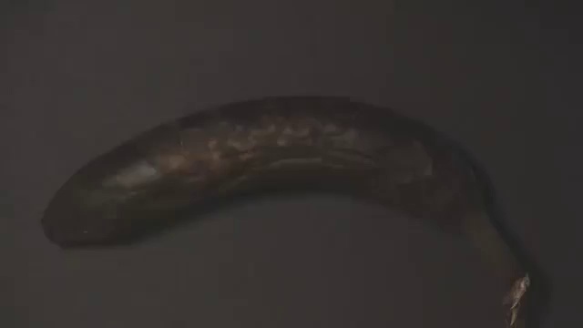 Банановые художества смотреть онлайн