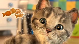 Little Kitten - игра маленький котенок