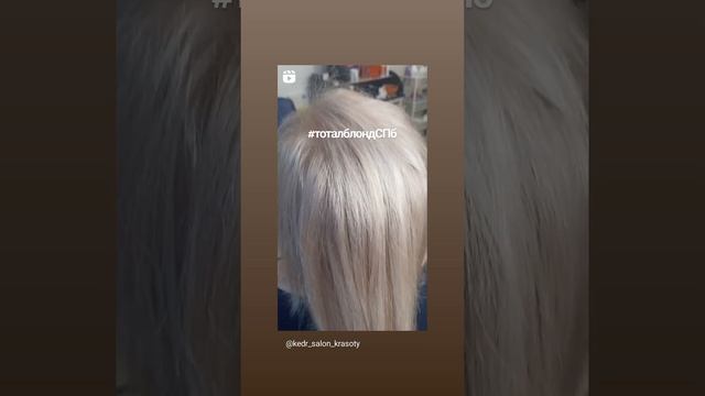 Тотал блонд Спб смотреть онлайн