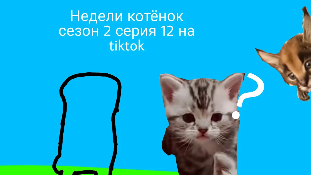Недели котёнок сезон 2 серия 12 на tiktok смотреть онлайн
