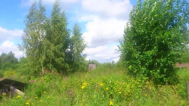 Заброшенная деревня. Костромская область. смотреть онлайн