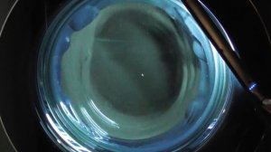 LG AiDD Steam Washer, Sofa throws on Delicates 40 with TurboWash (Requested)