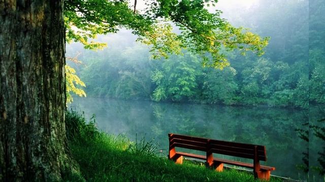 AL Quran al karim full i Love Quran AL Quran First Frame-القران, الكريم смотреть онлайн