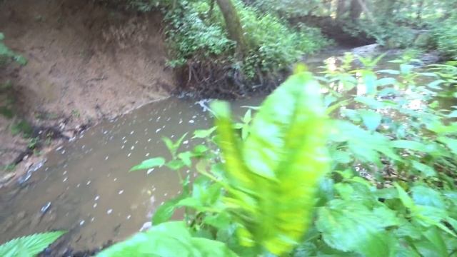 Ловля Гольяна в проводку! Дикие места на Малой реке! Первая часть. смотреть онлайн