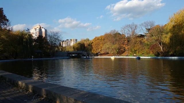 =Одесса 5 11 2019 в парке Победы= смотреть онлайн