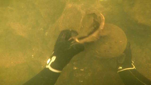 Treasure Found Scuba Diving - Rifle Bullets and Vintage Apple Computer смотреть онлайн