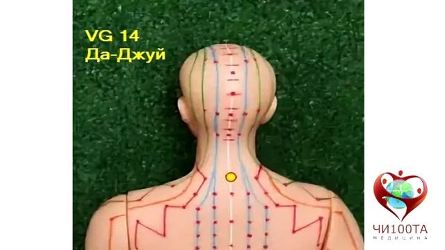 Урок 24. Зоны: «Седьмой шейный позвонок», «Второй шейный позвонок». смотреть онлайн
